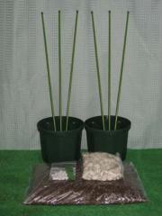 ブルーベリー簡単鉢植え栽培キット ６号鉢用６点セット ２鉢用