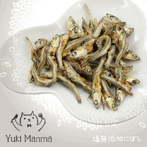 y L  zYuki Manma 䂫܂ Yɂڂy Y Y S i` L̂ Lp Lbgt[h ybg ybgt[h icat i dog z