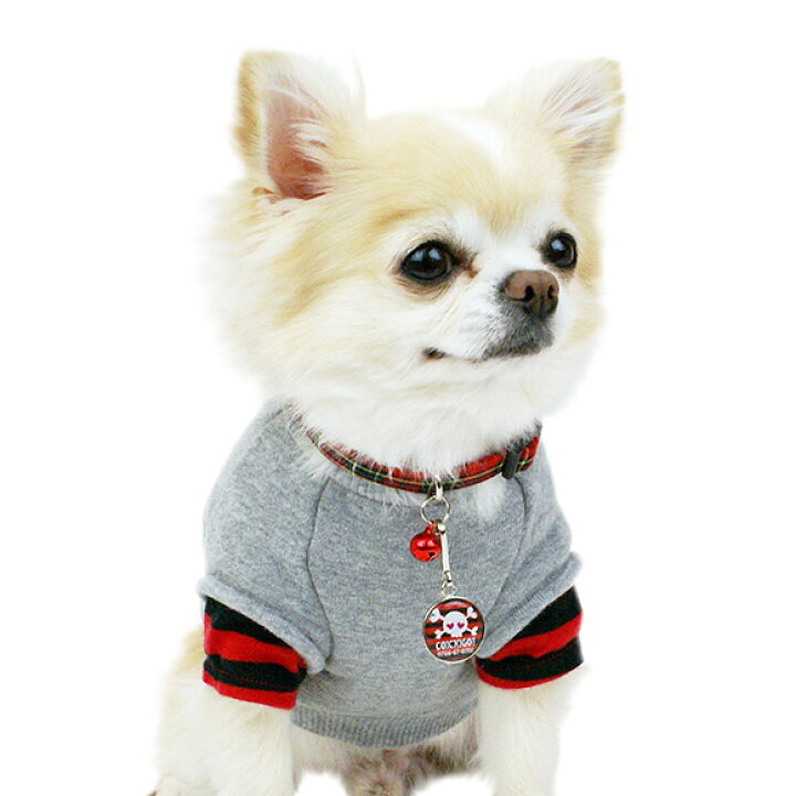 宅送 セール 30 Off 犬 迷子札 名札 猫 ネームタグ ドクロ Idog Icat メール便ok Shipsctc Org