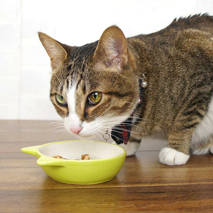 楽天市場 犬 猫 フードボウル プラッツ Platz イージーダイナーキャットディッシュ ペット フードボール 餌入れ 水飲み 器 給水器 食器 皿 犬用食器 猫用食器 超小型犬 小型犬 犬用 猫用 Icat I Dog 楽天 あす楽 翌日配送 犬の服のidog