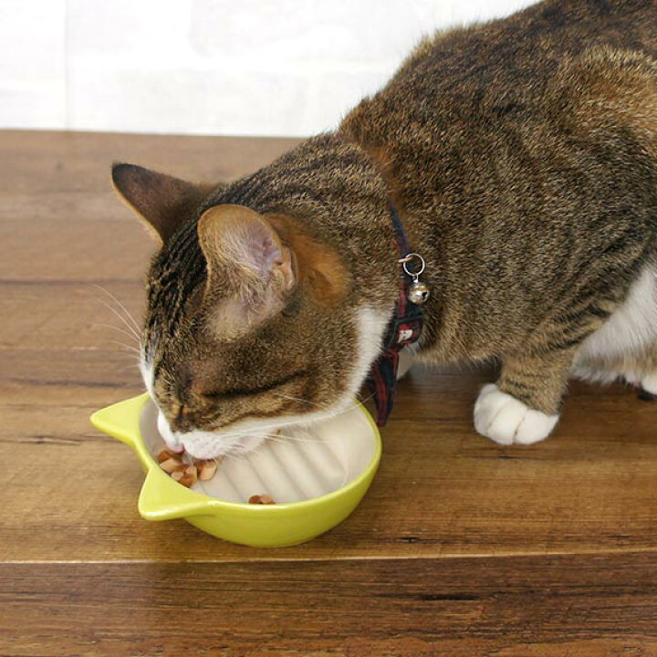 楽天市場】【 犬 猫 フードボウル 】プラッツ PLATZ イージーダイナーキャットディッシュ【 ペット フードボール 餌入れ 水飲み 器 給水器 食器 皿 犬用食器 猫用食器 超小型犬 小型犬 犬用 猫用 icat i dog 楽天 】【 あす楽 翌日配送 】 : 犬の服のiDog 楽天市場】【 犬 猫 フードボウル 】プラッツ PLATZ イージーダイナーキャットディッシュ【 ペット フードボール 餌入れ 水飲み 器 給水器 食器 皿 犬用食器 猫用食器 超小型犬 小型犬 犬用 猫用 icat i dog 楽天 】【 あす楽 翌日配送 】 : 犬の服のiDog