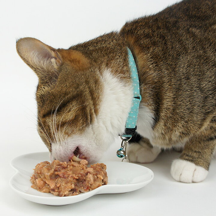 楽天市場】【 猫 キャットフード 】アイシア Aixia MiawMiaw ミャウミャウ ジューシー 70g×12袋セット【 キャット フード ウェットフード 猫用フード 餌 エサ えさ ご飯 ごはん 猫用 缶詰 レトルト icat i dog 楽天 】【 あす楽 翌日配送 】 : 犬の服のiDog 楽天市場】【 猫 キャットフード 】アイシア Aixia MiawMiaw ミャウミャウ ジューシー 70g×12袋セット【 キャット フード ウェットフード 猫用フード 餌 エサ えさ ご飯 ごはん 猫用 缶詰 レトルト icat i dog 楽天 】【 あす楽 翌日配送 】 : 犬の服のiDog