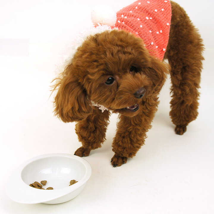 楽天市場】【 犬 ドッグフード 】SELECT BALANCE セレクトバランス スリム チキン 3kg×4袋まとめ買いセット 国産おやつ3点おまけ付き【 ドッグ フード ドライフード 犬用フード 餌 エサ えさ ご飯 ごはん まとめ買い お得 セット i dog 楽天 】【 あす楽 翌日配送 ... 楽天市場】【 犬 ドッグフード 】SELECT BALANCE セレクトバランス スリム チキン 3kg×4袋まとめ買いセット 国産おやつ3点おまけ付き【 ドッグ フード ドライフード 犬用フード 餌 エサ えさ ご飯 ごはん まとめ買い お得 セット i dog 楽天 】【 あす楽 翌日配送 ...