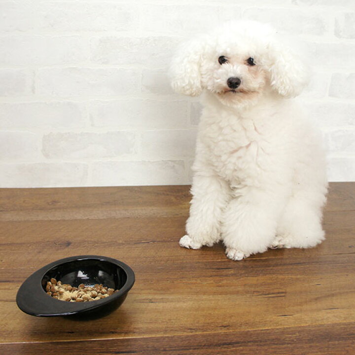 楽天市場 犬 サプリごはん ナチュラルハーベスト Natural Harvest レバエイド 150g ペット サプリ 肝臓 腎臓 栄養補助 栄養補給 健康食品 Icat I Dog 楽天 あす楽 翌日配送 犬の服のidog