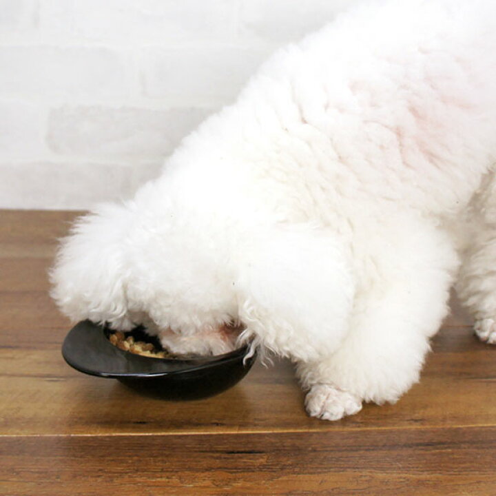 楽天市場 犬 サプリごはん ナチュラルハーベスト Natural Harvest レバエイド 150g ペット サプリ 肝臓 腎臓 栄養補助 栄養補給 健康食品 Icat I Dog 楽天 あす楽 翌日配送 犬の服のidog