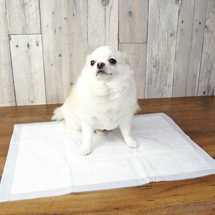 楽天市場】【 犬 トイレシート 】Rest Room 業務用国産ペットシーツ 厚 
