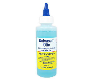 y  L  zmoT I`bN Lp܁y C[N[i[  C PApi icat i dog yV z