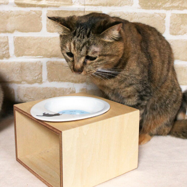 楽天市場】【 猫 キャットフード 】シーバ Sheba デュオセレクション(20gx12袋)【 キャットフード ドライフード 猫用フード 餌 エサ えさ ご飯 ごはん カリカリ かりかり icat i dog 楽天 】【 あす楽 翌日配送 】 : 犬の服のiDog 楽天市場】【 猫 キャットフード 】シーバ Sheba デュオセレクション(20gx12袋)【 キャットフード ドライフード 猫用フード 餌 エサ えさ ご飯 ごはん カリカリ かりかり icat i dog 楽天 】【 あす楽 翌日配送 】 : 犬の服のiDog