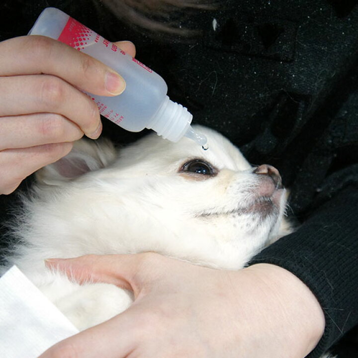 安心の定価販売 涙やけ フェレット 犬 うさぎ クリア ケア用品 ドッグ アイクリーンウォーター 50ml A P D C ケア ペット用目回り洗浄液 ドライアイ 目ヤニ 猫 天然成 お手入れ トリミング用品 安心の定価販売 涙やけ フェレット 犬 うさぎ クリア ケア用品 ドッグ アイクリーンウォーター 50ml A P D C ケア ペット用目回り洗浄液 ドライアイ 目ヤニ 猫 天然成 お手入れ トリミング用品