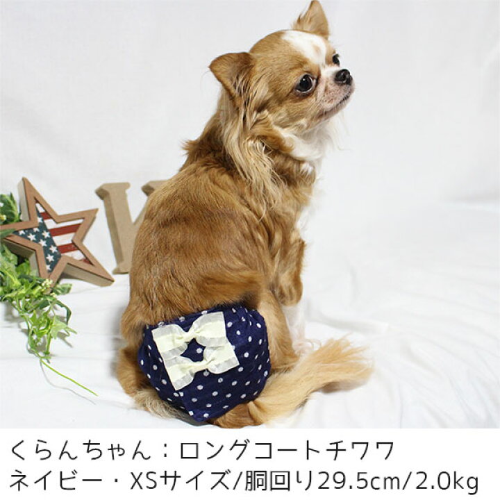 楽天市場 ブラックフライデーsale40 Off サニタリーパンツ 犬 服 Idog サニタリーパンツ 水玉リボン アイドッグ メール便ok あす楽 翌日配送 マナーパンツ 生理用 ヒート用 おむつ 犬の服 アイドッグ 国産 ドッグウェア ペッ 犬の服のidog