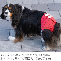 楽天市場 サニタリーパンツ 犬 服 Idog サニタリーパンツ 水玉リボン アイドッグ メール便ok あす楽 翌日配送 マナーパンツ 生理用 ヒート用 おむつ 犬の服 アイドッグ 国産 ドッグウェア ペットウェア 犬 犬の服のidog