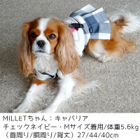 楽天市場 スカート 犬 服 Idog プリーツスカート メール便ok 楽天市場 スカート 犬 服 Idog プリーツスカート メール便ok