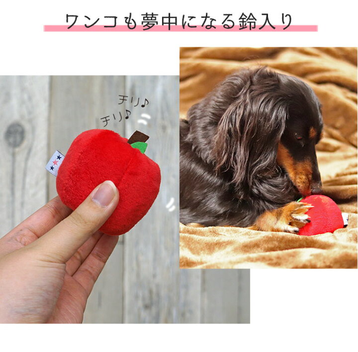 楽天市場】【 犬 おもちゃ 】iDog りんごボール 鈴入り アイドッグ 
