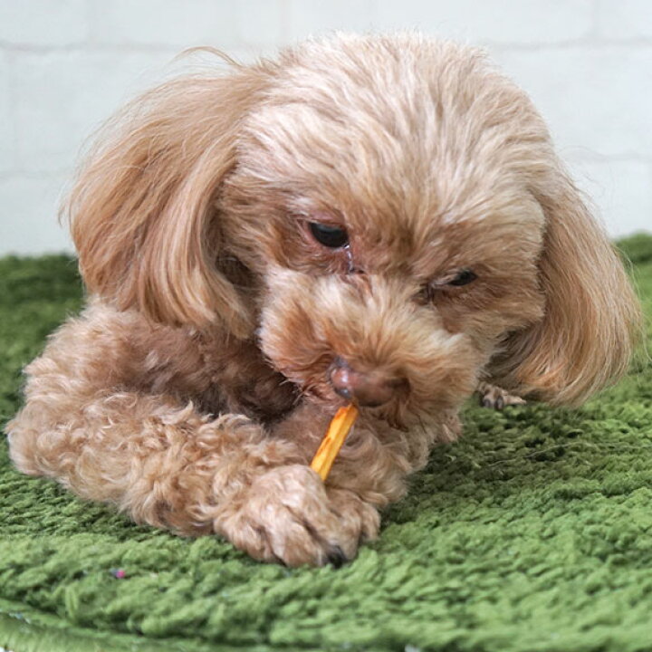 カリッとご当地プレッツェル 北海道メロン味 30g 犬用おやつ