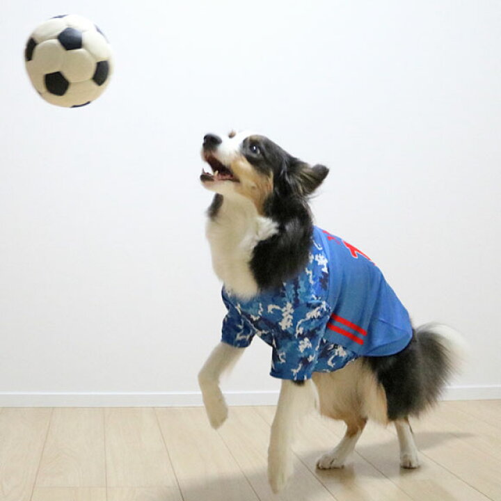 楽天市場 大型犬用 犬 服 Idog 中大型犬用 サッカーユニフォーム アイドッグ メール便ok あす楽 翌日配送 ラージ 中型犬 大型犬 犬の服 アイドッグ ドッグウェア ペットウェア 犬 服 I Dog 楽天 春物 夏物 犬の服のidog