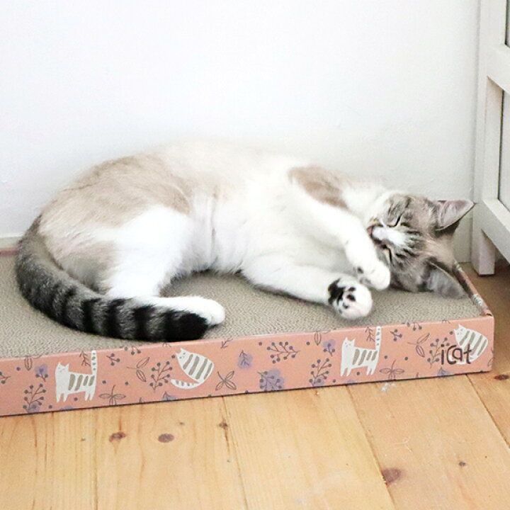 280円 84%以上節約 猫用トリミング用品 iCat スクエアつめとぎ のはらとネコ 280円 84%以上節約 猫用トリミング用品 iCat スクエアつめとぎ のはらとネコ