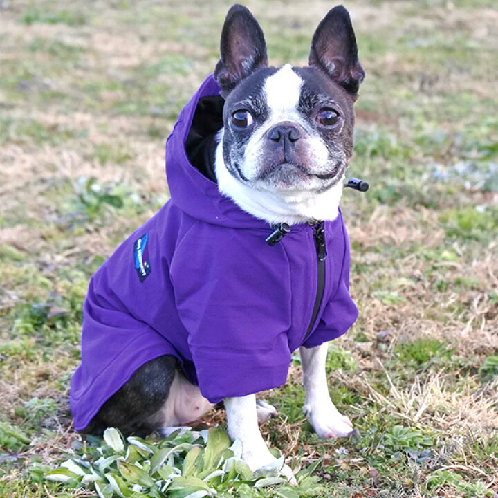 楽天市場】【 カッパ 犬服 】iDog ストレッチレインジャケット IDOG  