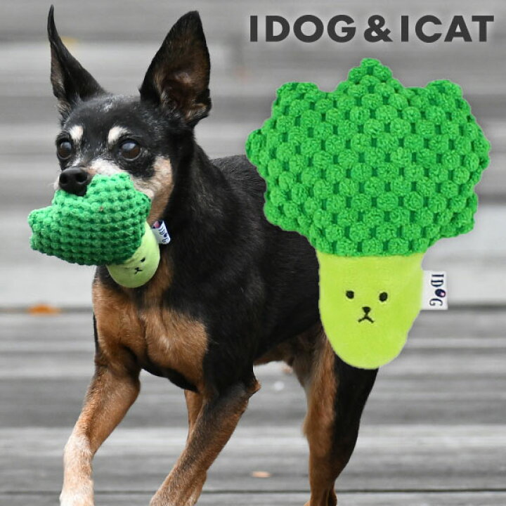 楽天市場 犬 おもちゃ Idog わんこブロッコリー 鳴き笛入り アイドッグ あす楽 翌日配送 布製 ぬいぐるみ ドッグトイ 犬のおもちゃ 玩具 笛入り 音 超小型犬 小型犬 犬用 I Dog 楽天 犬の服のidog