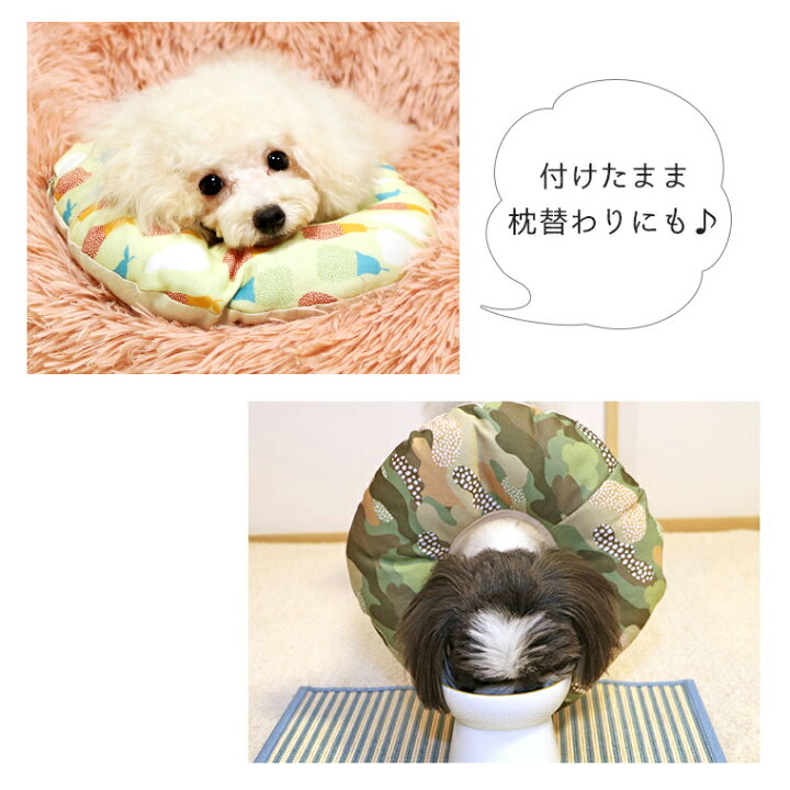 公式の店舗 犬用介護用品 Idog Shield Coat エリザベスカラー アイドッグ Shipsctc Org