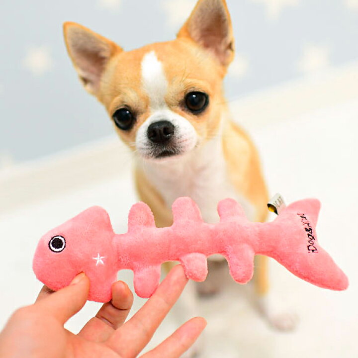 楽天市場】【 犬 おもちゃ 】IDOGICAT おさかなボーン 鈴入り【 あす楽 翌日配送 】【 布製 ぬいぐるみ ドッグトイ 犬のおもちゃ 玩具 音 鈴 超小型犬 小型犬 犬用 i dog 楽天 】 : 犬の服のiDog 楽天市場】【 犬 おもちゃ 】IDOGICAT おさかなボーン 鈴入り【 あす楽 翌日配送 】【 布製 ぬいぐるみ ドッグトイ 犬のおもちゃ 玩具 音 鈴 超小型犬 小型犬 犬用 i dog 楽天 】 : 犬の服のiDog