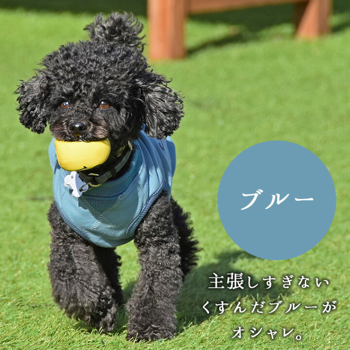 楽天市場 犬 服 タンクトップ Idog ロゴプリントスウェットタンク アイドッグ メール便ok あす楽 翌日配送 犬服 春夏 春 春服 夏 犬の服 ペット 猫 イヌ トイプードル チワワ ダックス 犬用品 犬用 ドッグウェア アイドッグ あいどっぐ I Dog 楽天