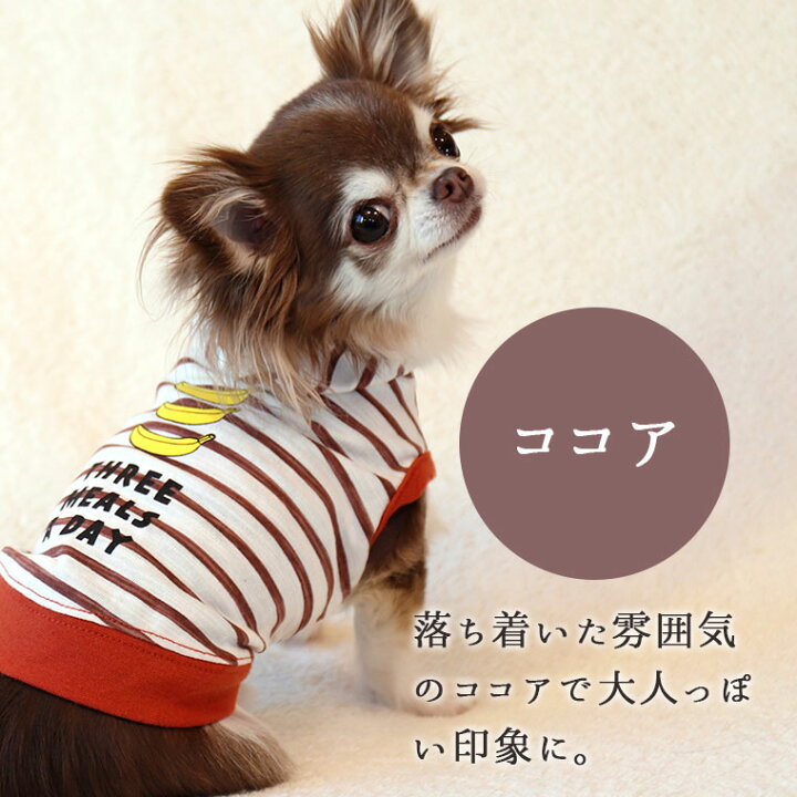 現品限り一斉値下げ 犬服 セール Idog ミニ裏タンク アイドッグ メール便ok 安い 秋 犬 服 犬の洋服 ペット服 プードル チワワ ダックス Youngcuratorsonline Org