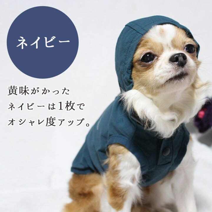 初回限定 犬 服 Idog パッカブルライトレインコート Idogequipment 撥水 アイドッグ メール便ok チワワ プードル Shipsctc Org