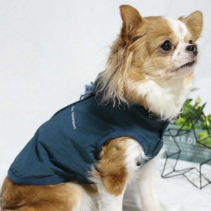 初回限定 犬 服 Idog パッカブルライトレインコート Idogequipment 撥水 アイドッグ メール便ok チワワ プードル Shipsctc Org