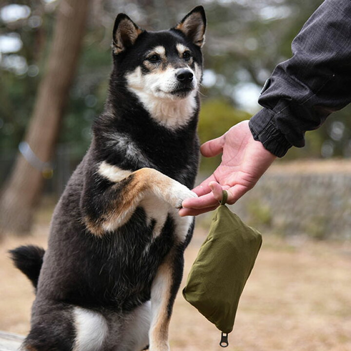 初回限定 犬 服 Idog パッカブルライトレインコート Idogequipment 撥水 アイドッグ メール便ok チワワ プードル Shipsctc Org 初回限定 犬 服 Idog パッカブルライトレインコート Idogequipment 撥水 アイドッグ メール便ok チワワ プードル Shipsctc Org
