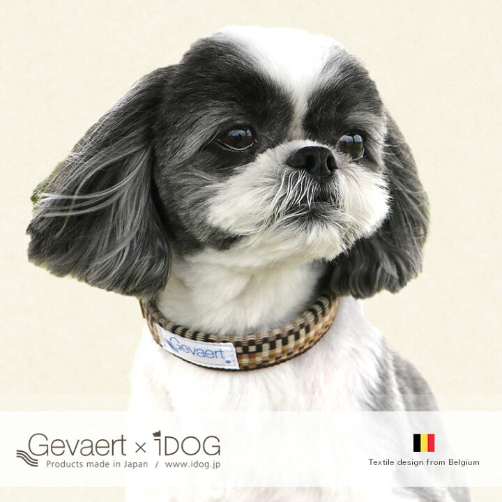 楽天市場】【楽天スーパーSALE☆20％OFF】【 犬 首輪 】Gevaert×iDog 