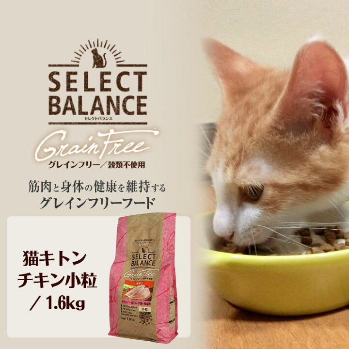楽天市場 猫 キャットフード セレクトバランス グレインフリー 猫キトン チキン 小粒 1 6kg アイキャット あす楽 翌日配送 キャットフード ドライフード 猫用フード 餌 エサ えさ ご飯 ごはん カリカリ かりかり Icat I Dog 楽天 犬の服のidog