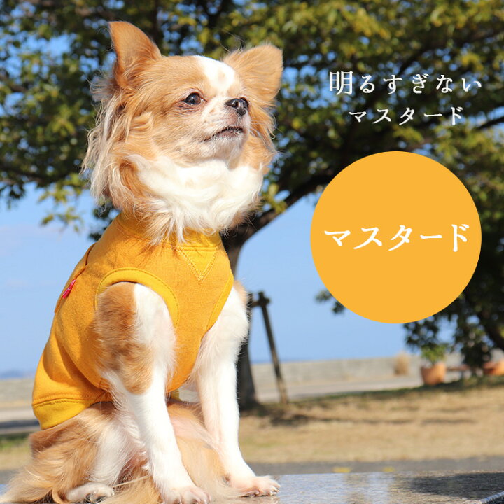 楽天市場 犬 服 タンクトップ Idog ナチュラルコットンタンク メール便ok あす楽 翌日配送 犬服 夏服 春夏 春 春服 夏 犬の服 ペット 猫 いぬ トイプードル チワワ ダックス 犬用品 犬用 ドッグウェア あいどっぐ I Dog 楽天