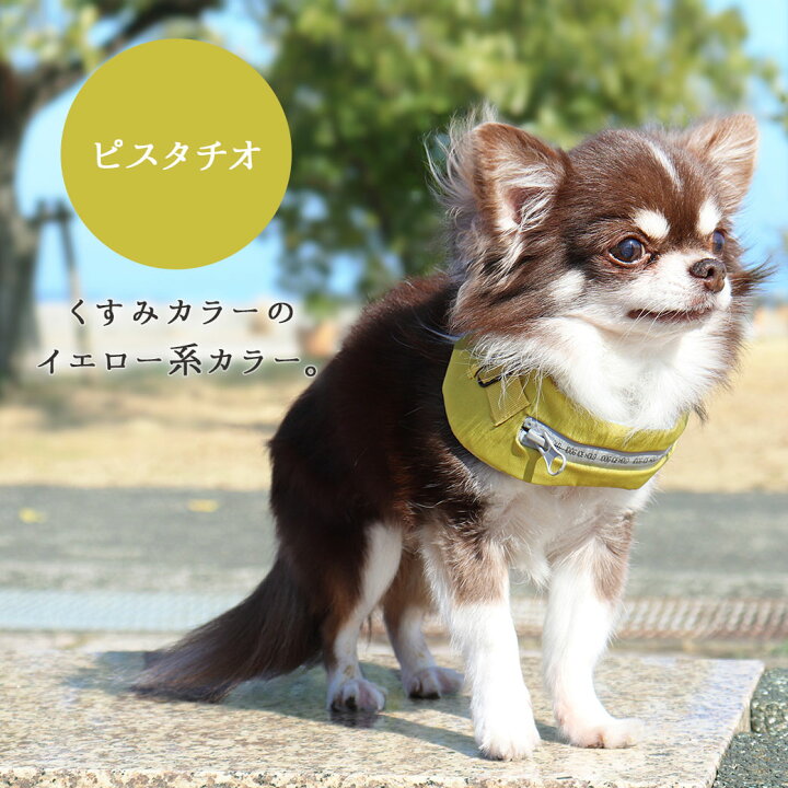 その他厳選 Ice 数量限定 クールネッククーラー 15時までの注文で当日発送 保冷剤付撥水 ｍ 3 300円以上で送料無料 Hold