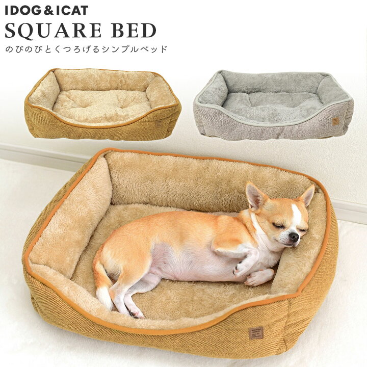 楽天市場 犬 ベッド Idog Icat パイピングスクエアベッド アイドッグ あす楽 翌日配送 クッション マット カドラー ペットベット 犬用ベッド 犬 ベット 犬用ベッド 秋用 いぬ Idog 犬の服のidog