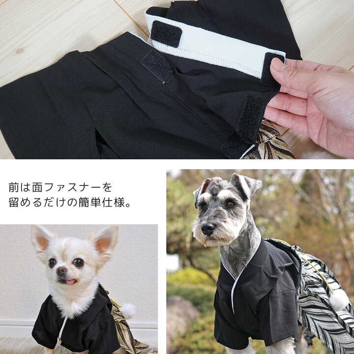 楽天市場】【 袴 犬 服 】iDog 愛犬用 家紋付袴 アイドッグ【 犬服 犬 