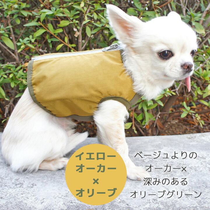 【クリアランスセール☆20%OFF】【 犬 猫 ペット 】IDOGICAT IDOG ICE HOLD クーリングベスト 保冷剤付 撥水 アイドッグ メール便OK【 あす楽 翌日配送 】【 暑さ対策 冷感グッズ 熱中症対策 冷却 ひんやり ヒンヤリ】 犬の服のiDog ICE HOLD 保冷剤ベスト ★ブルー G