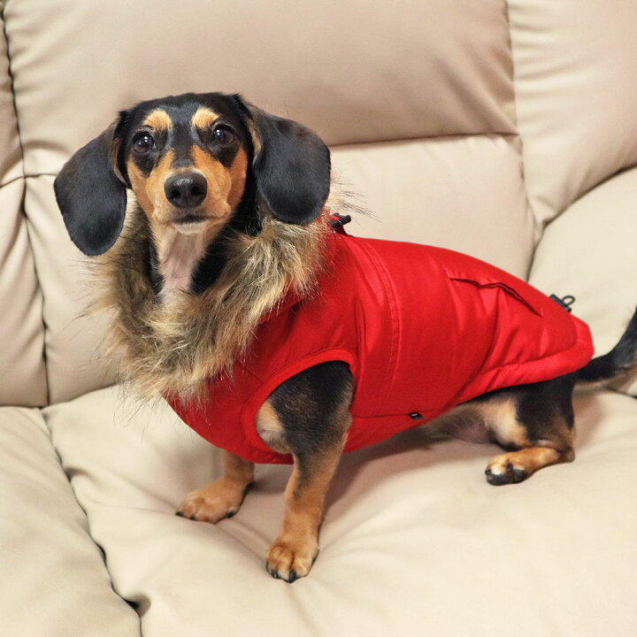 楽天市場】【クーポン利用で最大12%OFF☆】【 犬 服 アウター 】iDog 