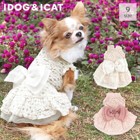 【 ドレス 犬 服 】iDog ウェディング風レースワンピ メール便OK【 結婚式 ウェディング お祝い 記念 パーティー 制服 犬の服 アイドッグ ドッグウェア ペットウェア 犬 服 idog 楽天 】【 あす楽 翌日配送 】