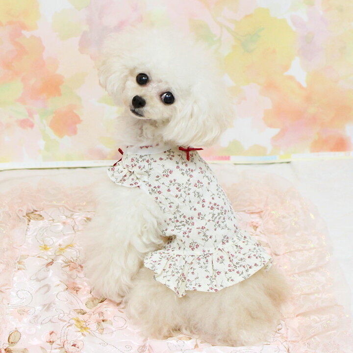 楽天市場】【 ワンピース 犬 服 】iDog 小花柄フリル付きタンク iDog 