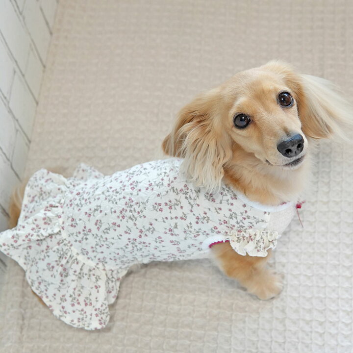 楽天市場】【 ワンピース 犬 服 】iDog 小花柄フリル付きタンク iDog 
