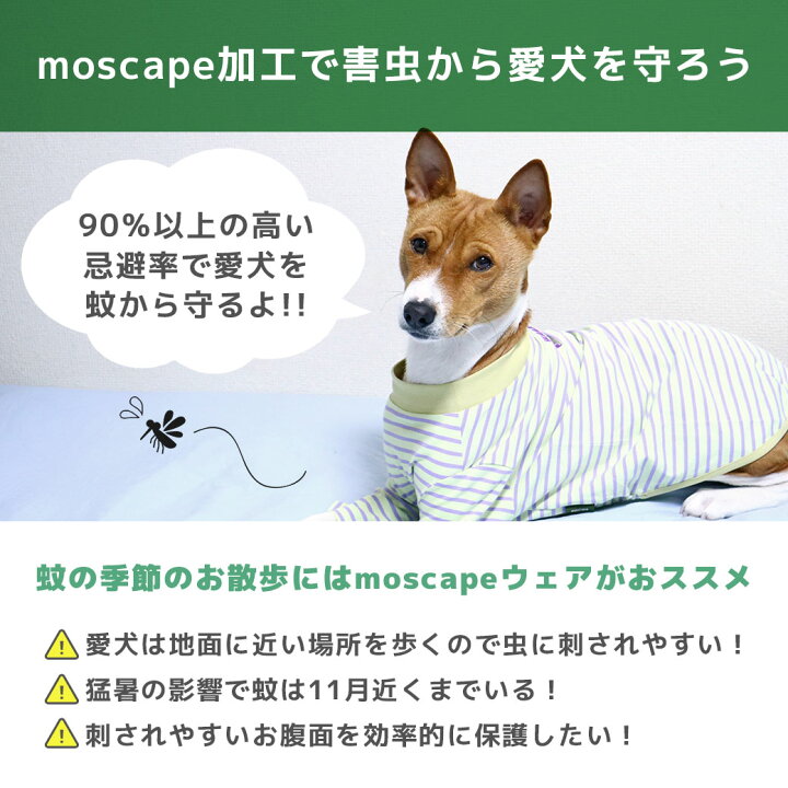 楽天市場】【楽天お買い物マラソン☆10％OFF】【 防虫 犬 服 】iDog 