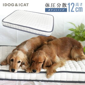 【 犬 ベッド 】IDOG&ICAT ポケットコイルマットレス コンフォートスリープ 愛犬用95×65cm【 あす楽 翌日配送 】【 ベッド犬の服のiDog クッション ベット マットレス ハウス ペットベット ふんわり 犬用ベッド 犬のベッド 犬 春 ベッド 体圧分散 】