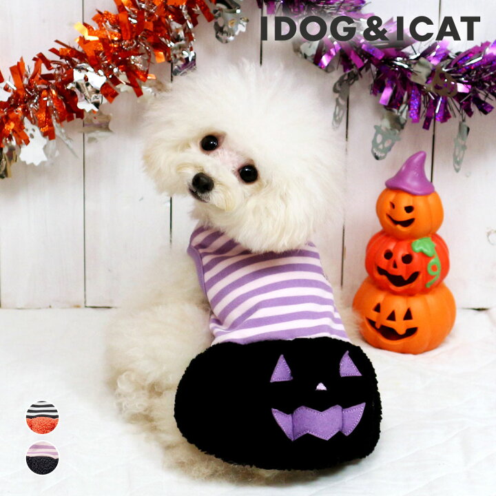 編みぐるみ♡ハロウィン♡ダックス♡かぼちゃ♡玄関に♡プレゼントに 