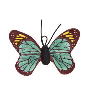 y L  ziCat 傤 JVJVƃLbgjbv ACLbg [OKy Lp ybgObY ˂ lR ˂ lY~ L炵 ܂ v`v