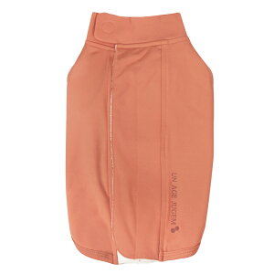 y   ziDog UNAGE JUGEM wJ ^N AGCW WQ AChbO [OKy si i ̊ sP  앞 ̕ VjA   ` _bNXth 