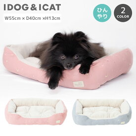 【 犬 クール ベッド 】IDOG&ICAT 星空のスクエアベッド 接触冷感 COOL 抗菌 防臭 アイドッグ【 ひんやり 冷感 クール cool クッション 犬用ベッド カドラー 小型犬 ベッド ベット 犬のベッド 子犬 パピー 夏ベッド 犬 グッズ idog あいどっぐ ベッド犬の服のiDog 】