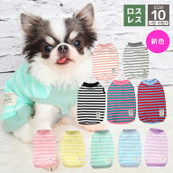 【 犬 服 秋冬 】iDog リブ切替ボーダータンク アイドッグ メール便OK【 ドッグウエア 犬 服 かわいい 犬…