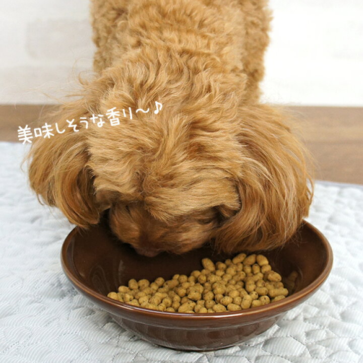 楽天市場 犬 ドッグフード ドットわん 魚ごはん 500g ドッグ フード ドライフード 犬用フード 餌 エサ えさ ご飯 ごはん I Dog 楽天 あす楽 翌日配送 犬の服のidog