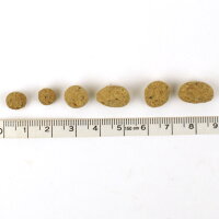 �ڸ��ɥå��ա��ɡۥ����Ȥ��Ϥ����3�糧�å����ݾ�������ݡ���1kg&times;3�ޤޤȤ��㤤���å�[�᡼�����Բ�]����������̵���ۡڥɥå��ա��ɥɥ饤�ա��ɸ��ѥա��ɱ¥����������Ӥ��Ϥ�ۡڤޤȤ��㤤�������åȡۡ�idog��