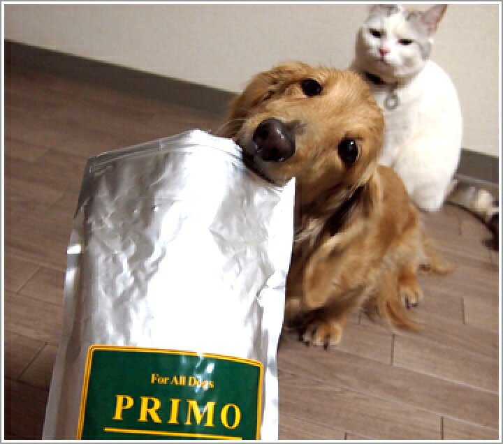 楽天市場 犬 ドッグフード プリモ Primo ベーシック 3kg 3 まとめ買いセット ドッグ フード ドライフード 犬用フード 餌 エサ えさ ご飯 ごはん まとめ買い お得 セット I Dog 楽天 あす楽 翌日配送 犬の服のidog